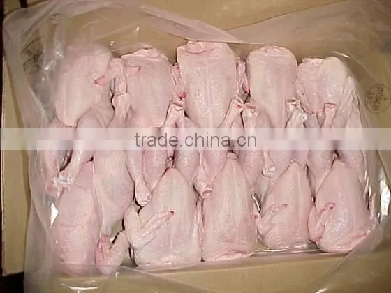 Halal Whole Chicken