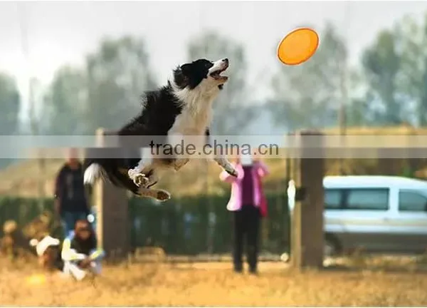 PP Dog Frisbee /Pet Frisbee Flying Disk Dog Toy photo-4