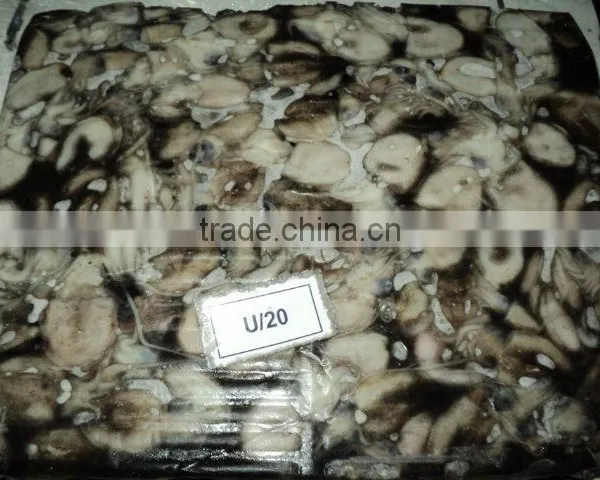Cuttle Fish Whole