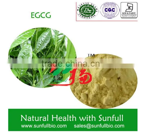 Tea Series Products Instant Tea Powder
