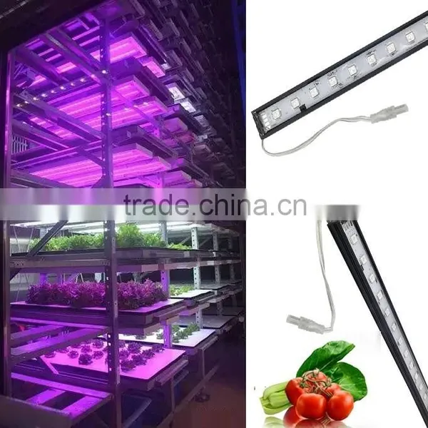 XQD Shenzhen Solar Power 3gp King 12W Led Grow Light photo-5