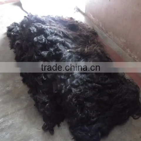 Raw Hair 27" Inch
