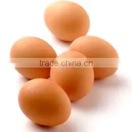 FRESH CHICKEN EGGS