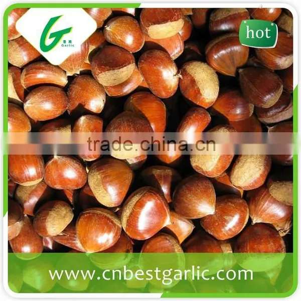 Organic Water Fresh Chestnut photo-2