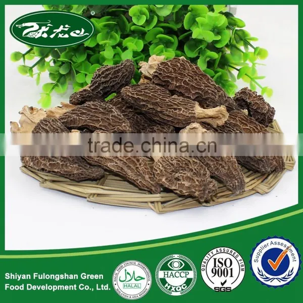 Wholesale Price Rare Edible Dried Morchella Esculenta Morel Mushroom
