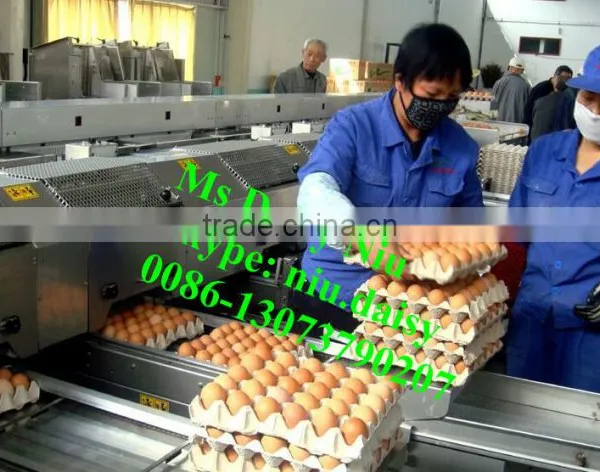 Automatic Egg Packing Machine/egg Tray Packaging Machine/egg Grading Machine for Packing photo-3