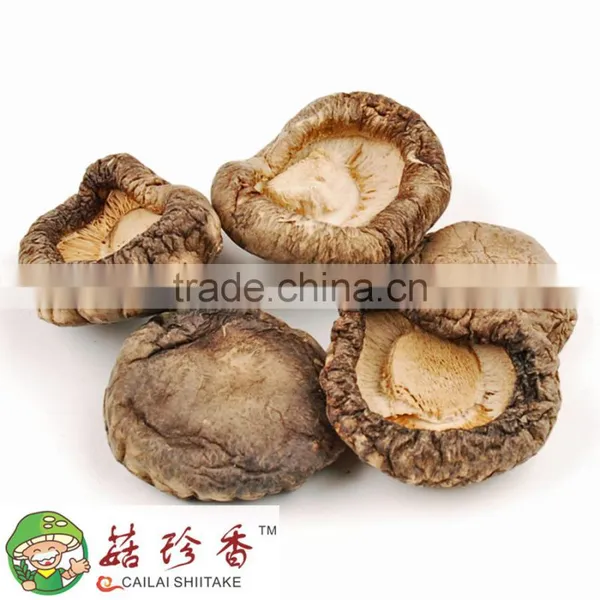 Dried Shitake Mushroom photo-4
