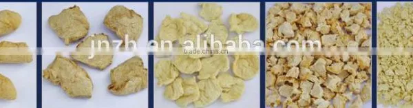 500kg/h Textured Soya Protein Vegetable Food Processing Machine photo-5