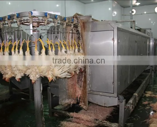 Equip for Poultry Slaughter of Chickens/slaughter Equipment /poultry Slaughter Line photo-2