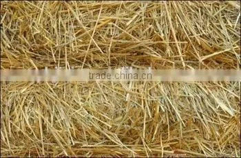 Middle-sized Grass Chopper Machine for Sale Made in China photo-2