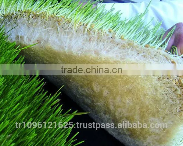 StarMax Barley Fodder / Fodder / Fodder System photo-5
