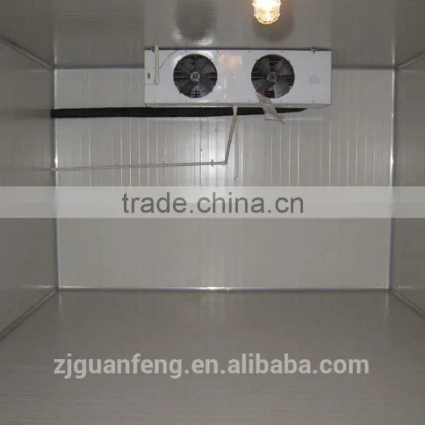High Efficiency Ice Cream Storage Cold Room photo-5