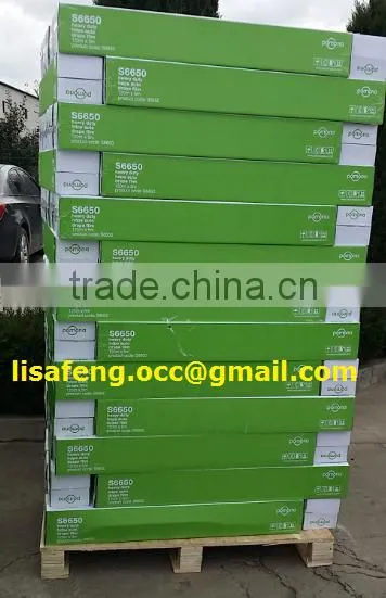 HDPE Masking Film With Dispenser photo-2