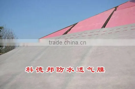 Bitumen Replacement Membrane photo-3