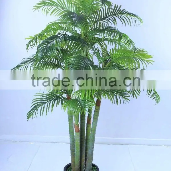 SJ12001163 Top Selling Palm Tree/mini Palme Plant Craft photo-5