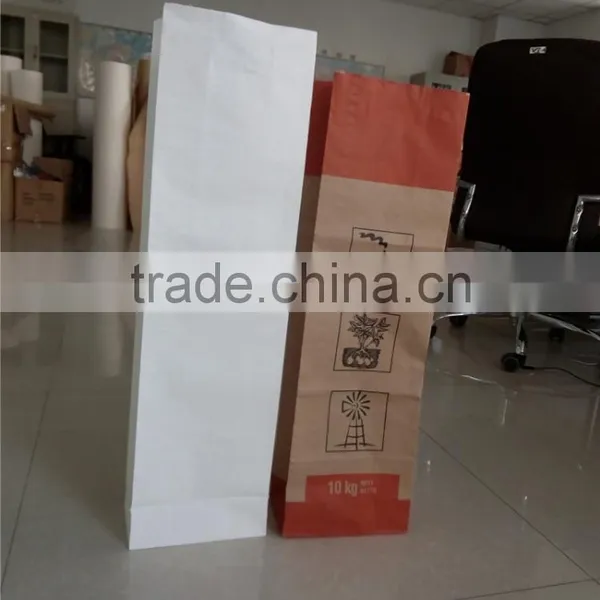 Recycled and Reused Low Cost Craft Paper Bags photo-4