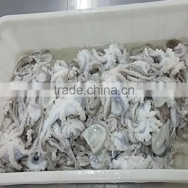 Octopus Variety Baby Octopus photo-2