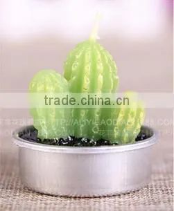Cactus and Grape Plant Birthday Scented Candle photo-2