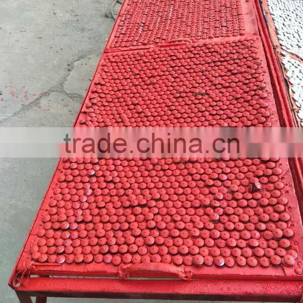 Color Painted Galvanized Roofing Nails photo-4