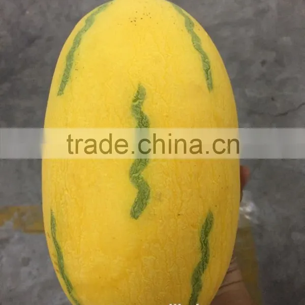 Artificial Similation by 90 % Fruit and Vegetable Prices With Mango, Banana, Starfruit, Pomelo photo-3