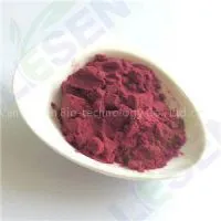 Black Carrot Juice Powder