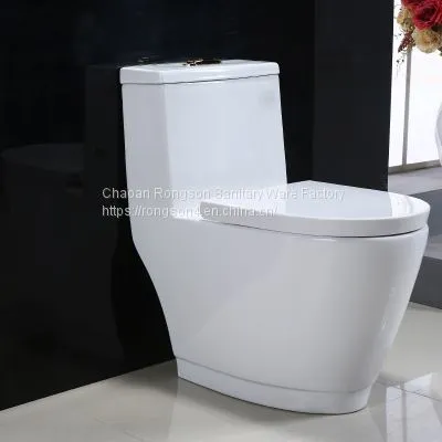 Sanitary Ware One Piece Washdown Toilet Bowl