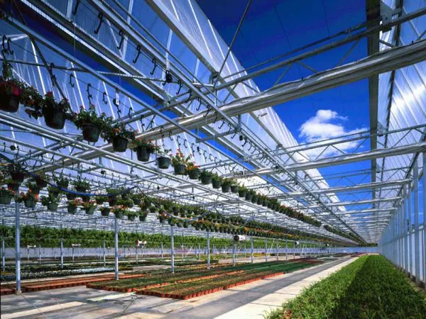 Venlo Type Multispan Glass Garden Greenhouse photo-3