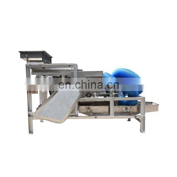 Large Capacity Cashew Peanut Almond Cutting Machine Peanut Grading Machine Cutting Processing Machine photo-7