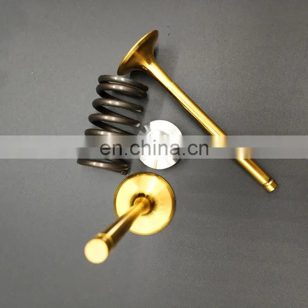 Back Cut Titanium Inlet Outlet Engine Valve for Husqvarna Tcsmr TE Txc Te501 125 250 310 450 510 Racing Motorcycle Spare Parts photo-2