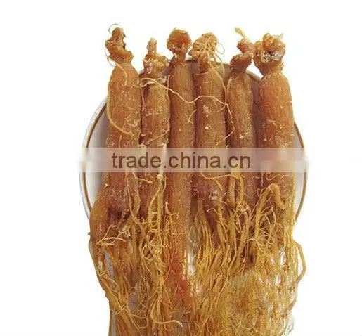 Red Ginseng Root / Panax Ginseng / Ninjin / Insam With Tail Tonic Body photo-4