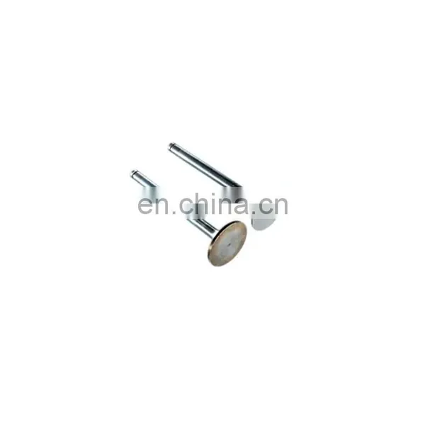Sinotruk Sitrak China Heavy Duty Truck Engine Spare Parts 200V04101-0574 The Inlet Valve photo-3