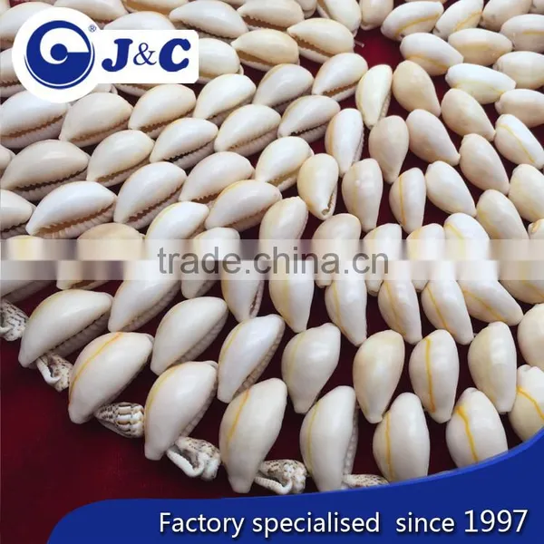 Customize Sea Shell Cushion,factory Manufacture Mat, Shell Pad photo-2