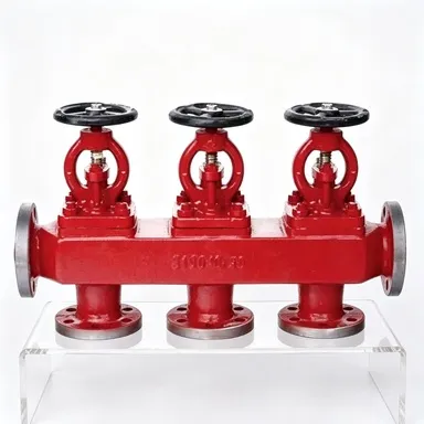 GB/T1855-1993 Suction Stop Check Valve, Flanged Connection, Pressure Test Report Provided photo-4