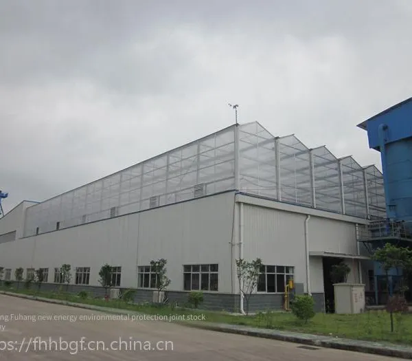 Sludge Treatment Equipment - Fuhang Environmental Protection Solar Sludge Drying Equipment photo-3