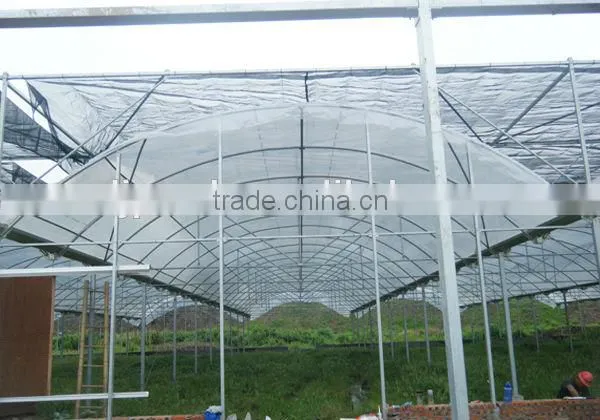 PEP Plastic Dome Greenhouse photo-2