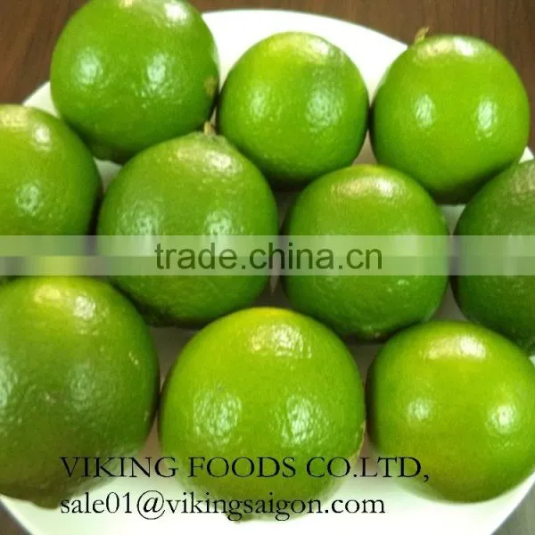 FRESH SEEDLESS LIME_GOOD QUALITY FROM VIET NAM photo-2