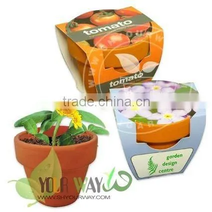 Wooden Box Mini Plant photo-6