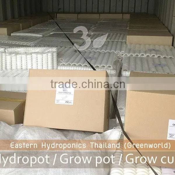 Export Grow Cup photo-4