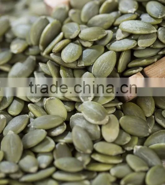 Common Cultivation Pumpkin Kernels/dried Pumpkin Seeds Kernels photo-6