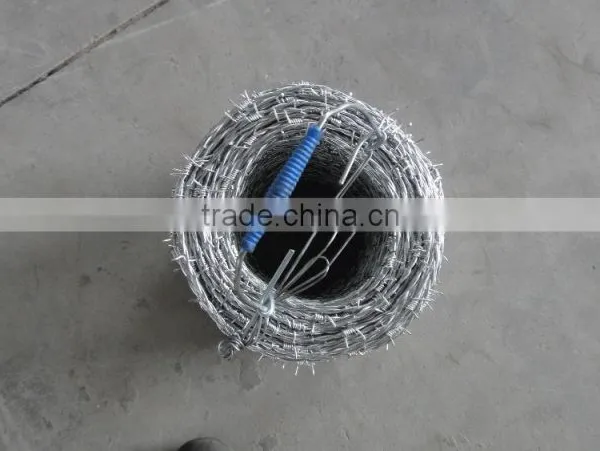 Various Sizes Razor Barbed Wire/Galvanized Razor Barbed Wire photo-2