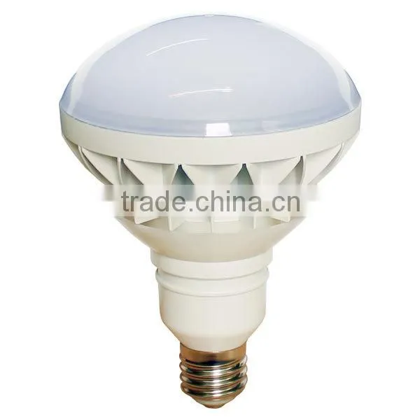 40W Led Par Light E39 E40 PAR56 LED Lamp Outdoor Lighting 120V 230V photo-2