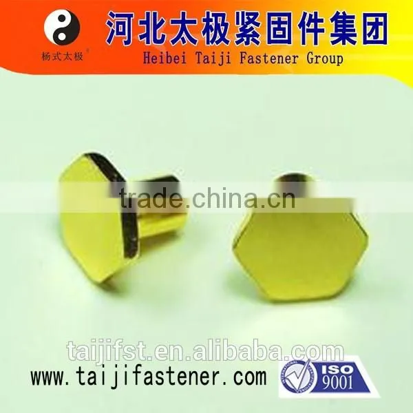 China Manufacture Hex Head Rivet photo-3