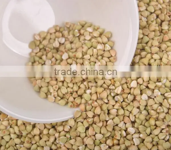 Chinese Non Gmo New Crop Roasted Buckwheat Kernel for Georgia Wholesale photo-4
