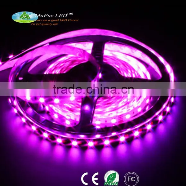 Hot Sell Top Quality 2016 5050 Addressable Rgb Led Strip Programmable Led Strip Light With Remote Controller photo-5