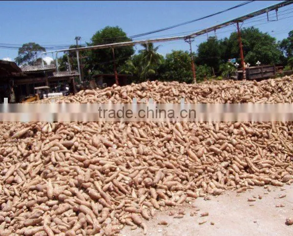 China automatic cassava starch processing line machines