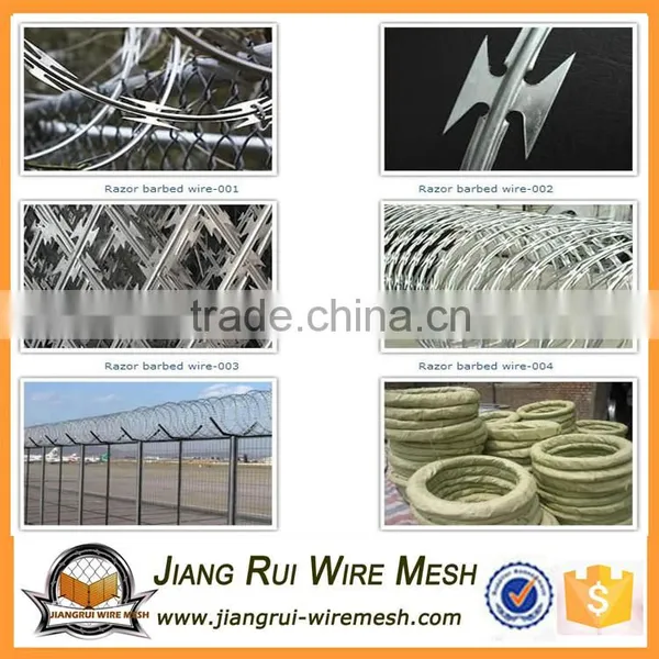 Pvc Coated Barbed Wire Razor Barbed Wire photo-3