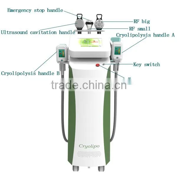 Nubway 4 in 1 Technology Best Selling Effective Cryolipolysis&vacuum Slimming photo-2