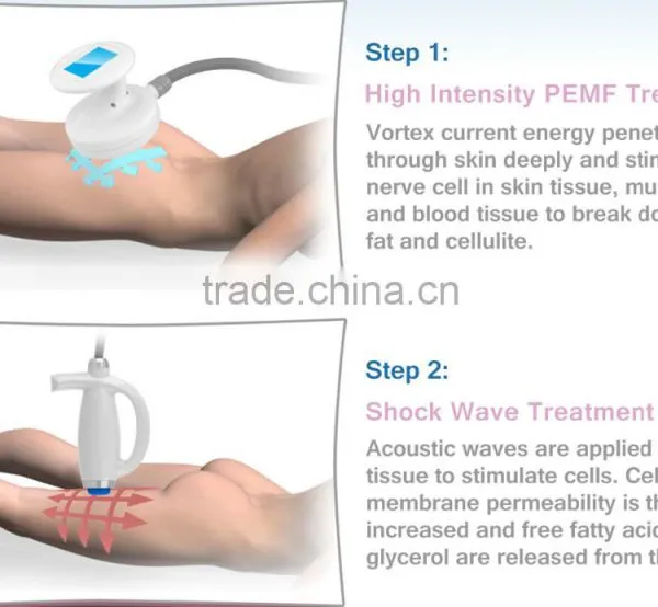 OEM ODM China Factory PEMF Slimming Device With Magentic Energy photo-4