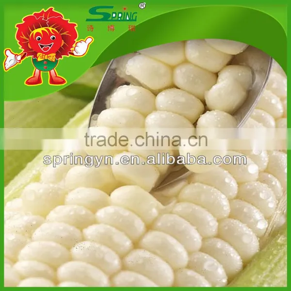 Sweet Yellow Corn/yellow Corn Price Yellow Corn for Human Consumption photo-4