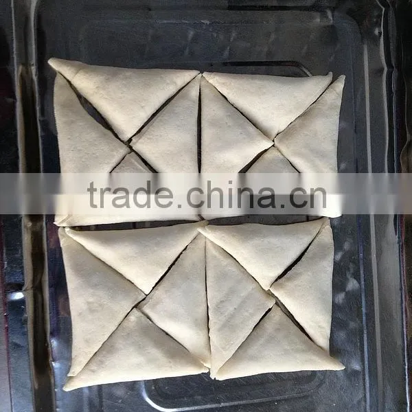 Frozen Spring Rolls With Best Price Hot Sale in Europe photo-4